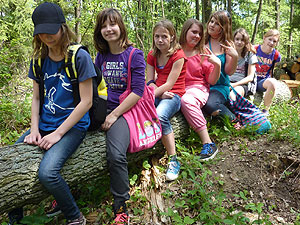 Waldjugendspiele